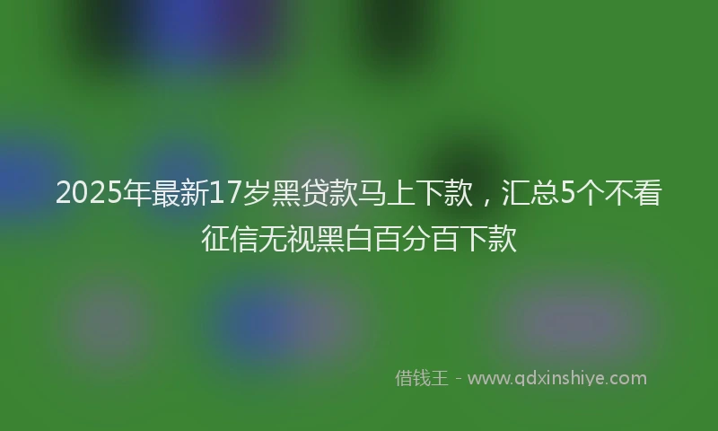 2025年最新17岁黑贷款马上下款，汇总5个不看征信无视黑白百分百下款