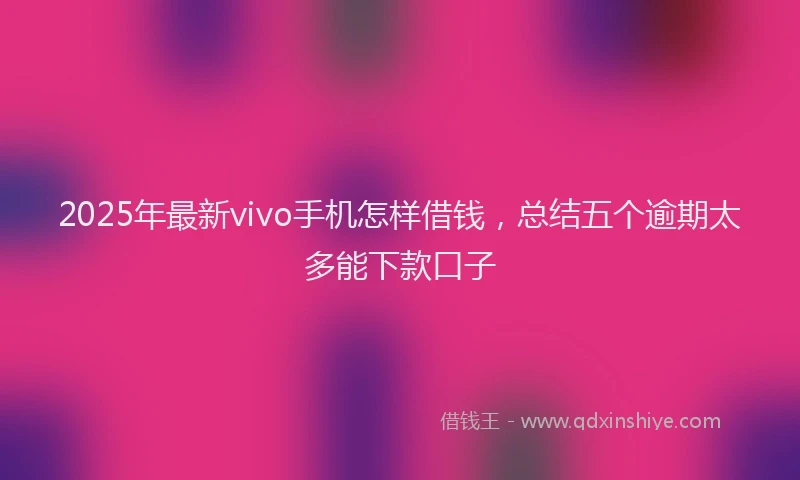 2025年最新vivo手机怎样借钱，总结五个逾期太多能下款口子
