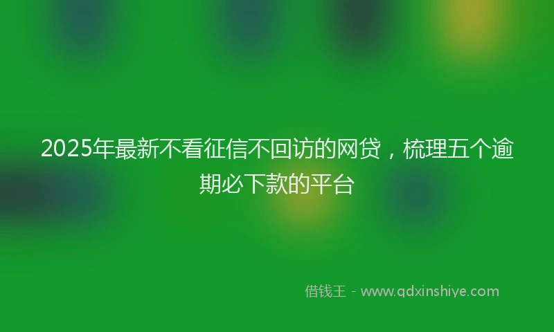 2025年最新不看征信不回访的网贷，梳理五个逾期必下款的平台