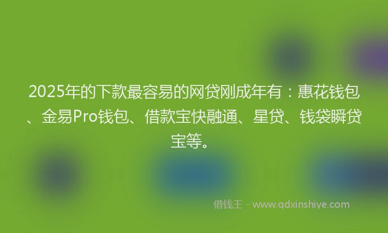 2025年的下款最容易的网贷刚成年有：惠花钱包、金易Pro钱包、借款宝快融通、星贷、钱袋瞬贷宝等。
