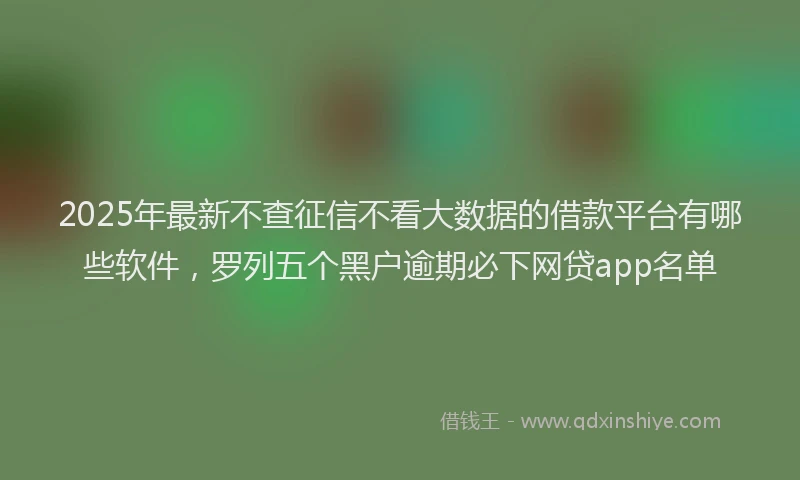 2025年最新不查征信不看大数据的借款平台有哪些软件，罗列五个黑户逾期必下网贷app名单