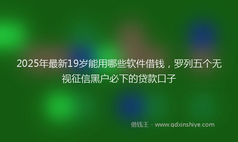 2025年最新19岁能用哪些软件借钱，罗列五个无视征信黑户必下的贷款口子
