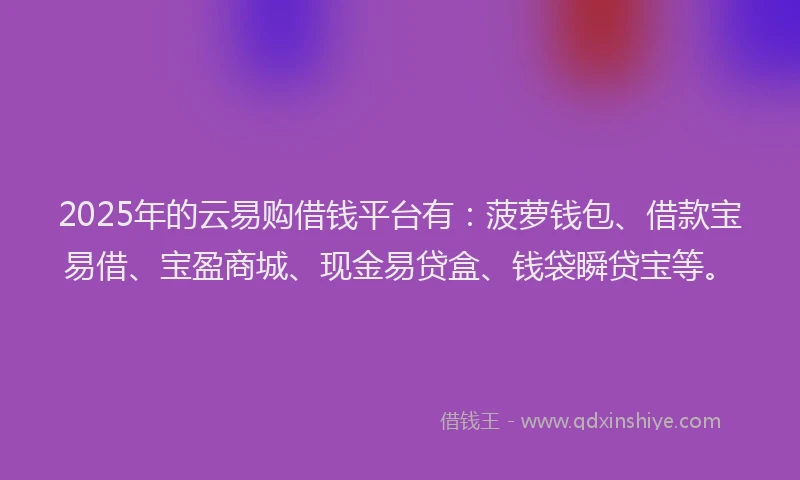 2025年的云易购借钱平台有：菠萝钱包、借款宝易借、宝盈商城、现金易贷盒、钱袋瞬贷宝等。