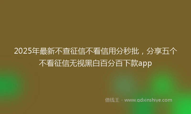 2025年最新不查征信不看信用分秒批，分享五个不看征信无视黑白百分百下款app