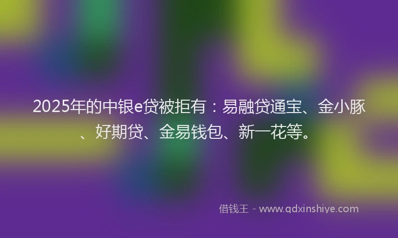 2025年的中银e贷被拒有：易融贷通宝、金小豚、好期贷、金易钱包、新一花等。