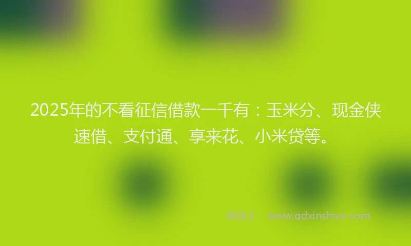 2025年的不看征信借款一千有：玉米分、现金侠速借、支付通、享来花、小米贷等。