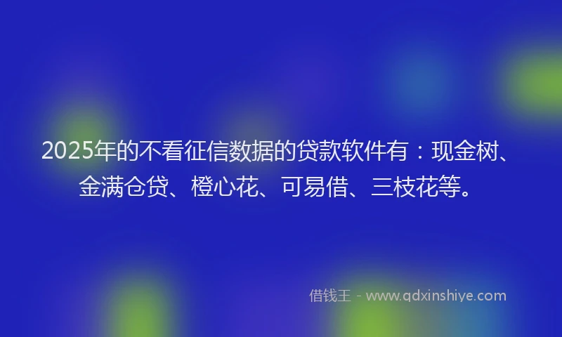2025年的不看征信数据的贷款软件有：现金树、金满仓贷、橙心花、可易借、三枝花等。