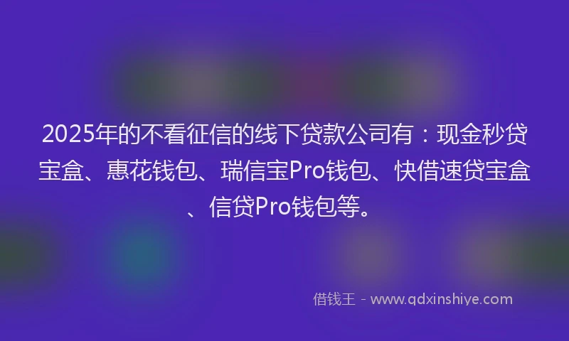 2025年的不看征信的线下贷款公司有：现金秒贷宝盒、惠花钱包、瑞信宝Pro钱包、快借速贷宝盒、信贷Pro钱包等。