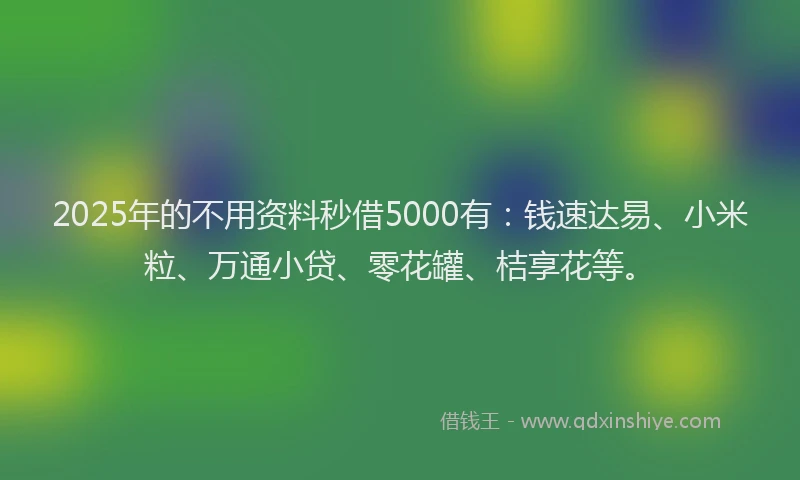 2025年的不用资料秒借5000有：钱速达易、小米粒、万通小贷、零花罐、桔享花等。