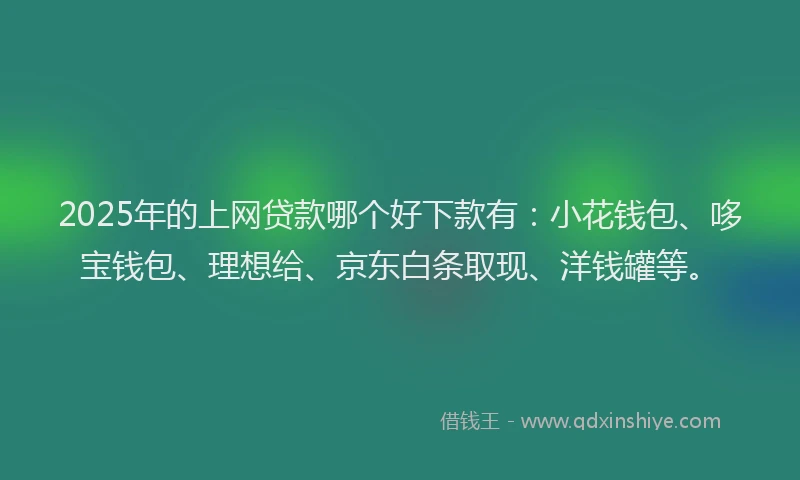 2025年的上网贷款哪个好下款有：小花钱包、哆宝钱包、理想给、京东白条取现、洋钱罐等。