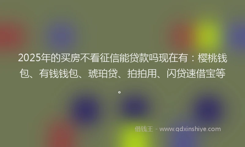 2025年的买房不看征信能贷款吗现在有：樱桃钱包、有钱钱包、琥珀贷、拍拍用、闪贷速借宝等。
