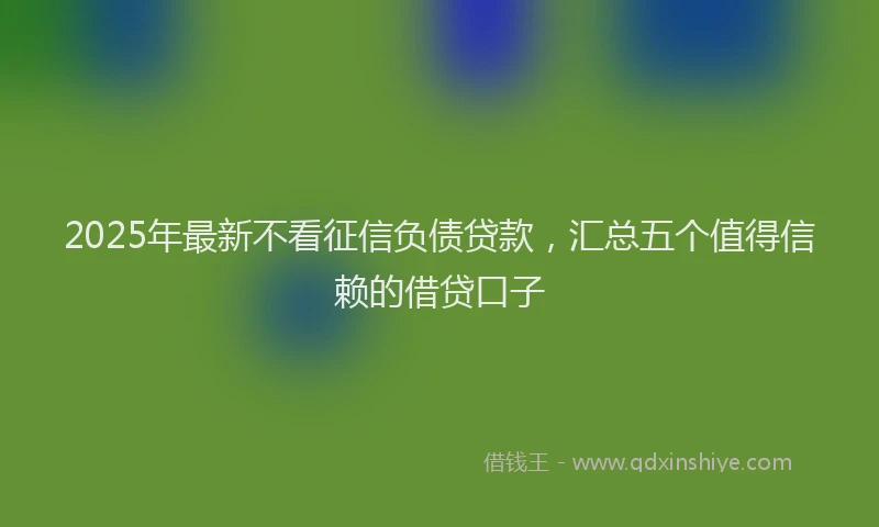 2025年最新不看征信负债贷款，汇总五个值得信赖的借贷口子