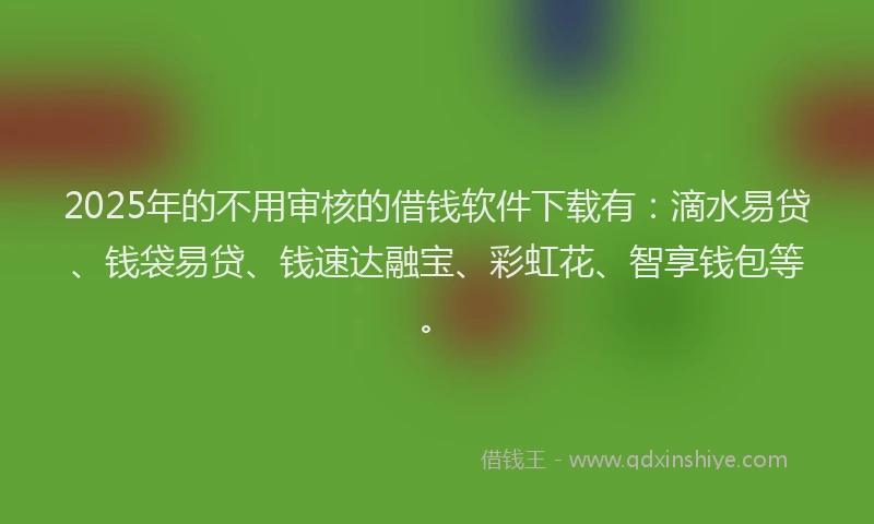 2025年的不用审核的借钱软件下载有：滴水易贷、钱袋易贷、钱速达融宝、彩虹花、智享钱包等。