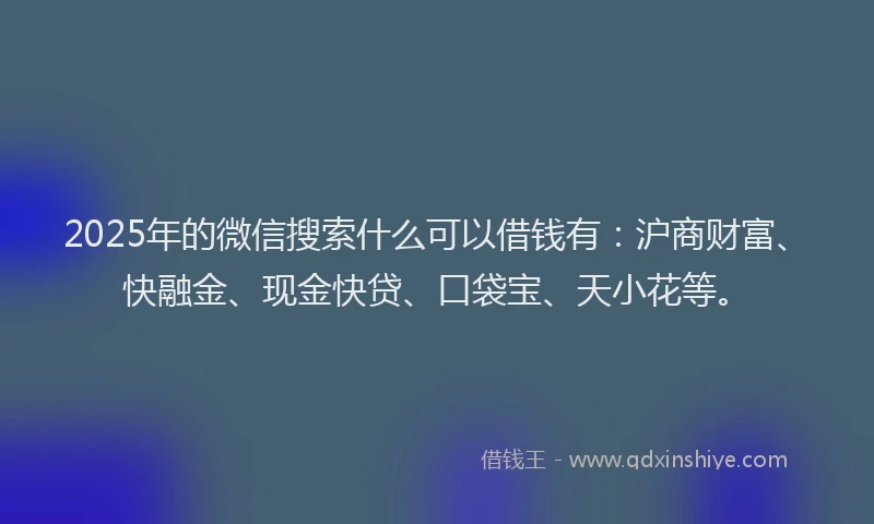 2025年的微信搜索什么可以借钱有：沪商财富、快融金、现金快贷、口袋宝、天小花等。