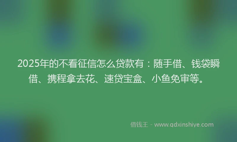 2025年的不看征信怎么贷款有：随手借、钱袋瞬借、携程拿去花、速贷宝盒、小鱼免审等。