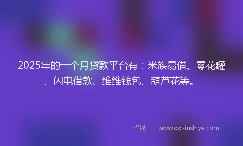 2025年的一个月贷款平台有：米族易借、零花罐、闪电借款、维维钱包、葫芦花等。