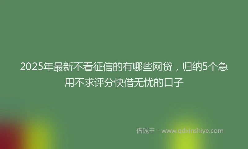 2025年最新不看征信的有哪些网贷，归纳5个急用不求评分快借无忧的口子