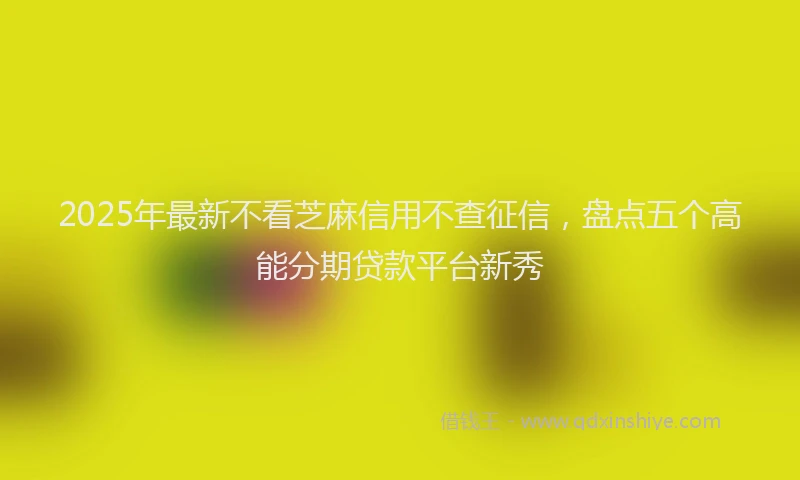2025年最新不看芝麻信用不查征信，盘点五个高能分期贷款平台新秀