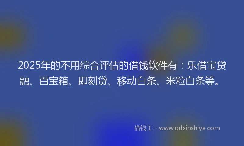 2025年的不用综合评估的借钱软件有：乐借宝贷融、百宝箱、即刻贷、移动白条、米粒白条等。