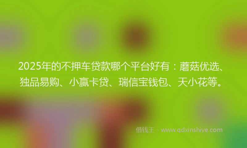 2025年的不押车贷款哪个平台好有：蘑菇优选、独品易购、小赢卡贷、瑞信宝钱包、天小花等。
