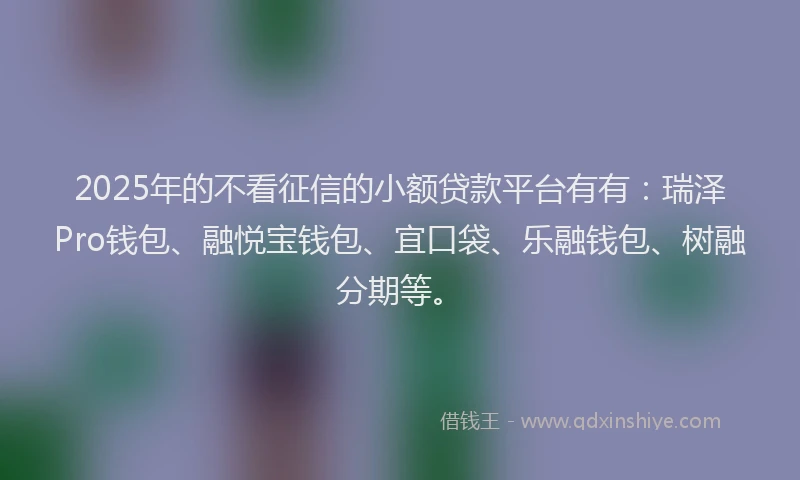 2025年的不看征信的小额贷款平台有有：瑞泽Pro钱包、融悦宝钱包、宜口袋、乐融钱包、树融分期等。