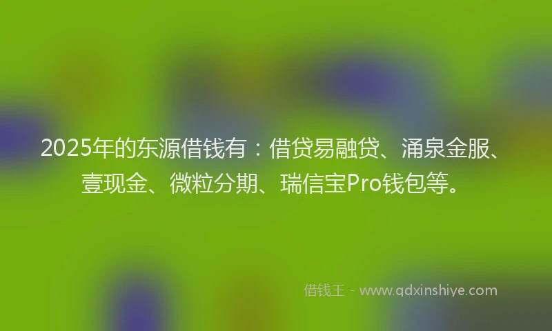 2025年的东源借钱有：借贷易融贷、涌泉金服、壹现金、微粒分期、瑞信宝Pro钱包等。