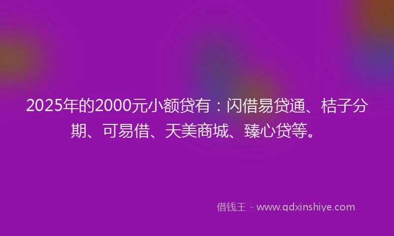 2025年的2000元小额贷有：闪借易贷通、桔子分期、可易借、天美商城、臻心贷等。