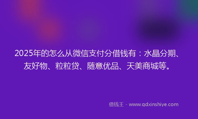 2025年的怎么从微信支付分借钱有：水晶分期、友好物、粒粒贷、随意优品、天美商城等。