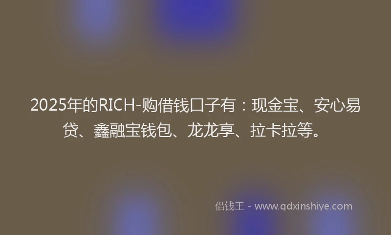 2025年的RICH-购借钱口子有：现金宝、安心易贷、鑫融宝钱包、龙龙享、拉卡拉等。