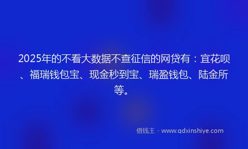 2025年的不看大数据不查征信的网贷有：宜花呗、福瑞钱包宝、现金秒到宝、瑞盈钱包、陆金所等。