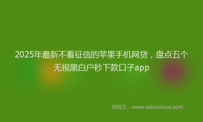 2025年最新不看征信的苹果手机网贷，盘点五个无视黑白户秒下款口子app