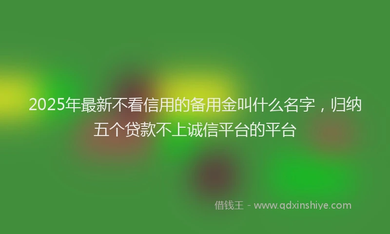 2025年最新不看信用的备用金叫什么名字，归纳五个贷款不上诚信平台的平台