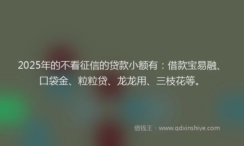 2025年的不看征信的贷款小额有：借款宝易融、口袋金、粒粒贷、龙龙用、三枝花等。
