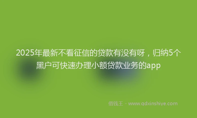 2025年最新不看征信的贷款有没有呀，归纳5个黑户可快速办理小额贷款业务的app