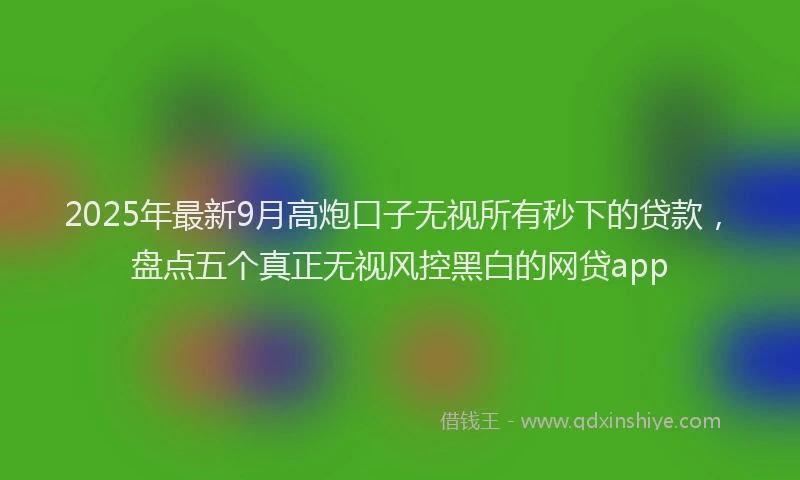 2025年最新9月高炮口子无视所有秒下的贷款，盘点五个真正无视风控黑白的网贷app