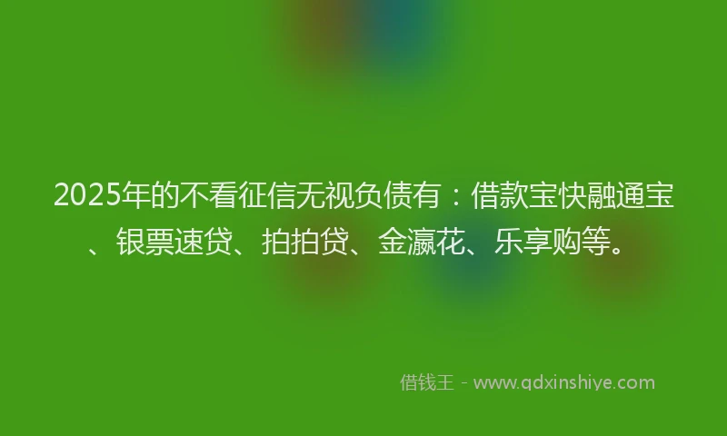 2025年的不看征信无视负债有：借款宝快融通宝、银票速贷、拍拍贷、金瀛花、乐享购等。
