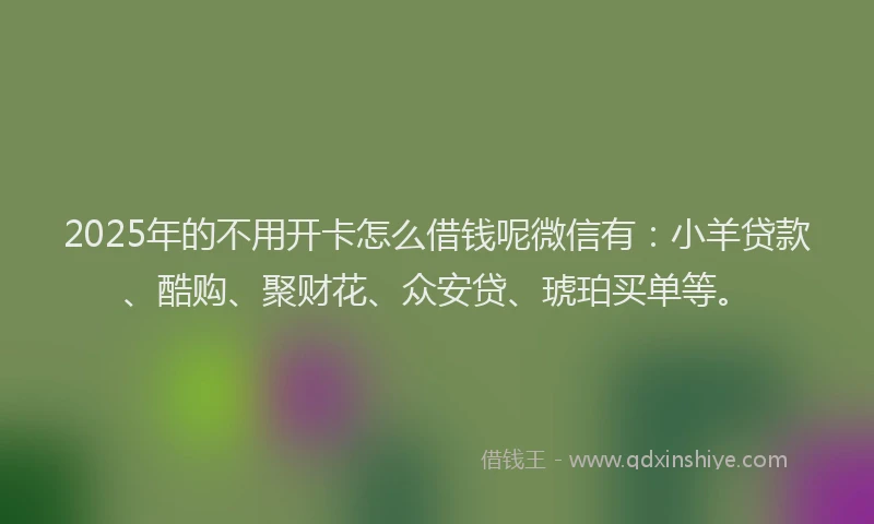 2025年的不用开卡怎么借钱呢微信有：小羊贷款、酷购、聚财花、众安贷、琥珀买单等。