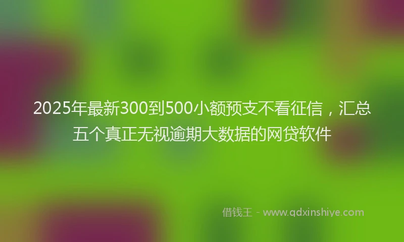 2025年最新300到500小额预支不看征信，汇总五个真正无视逾期大数据的网贷软件
