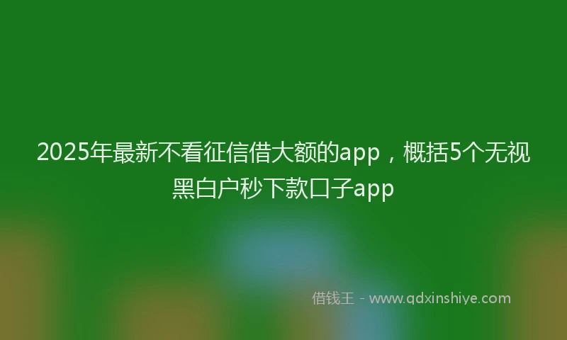 2025年最新不看征信借大额的app，概括5个无视黑白户秒下款口子app