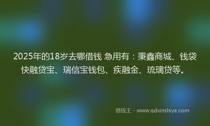 2025年的18岁去哪借钱 急用有：秉鑫商城、钱袋快融贷宝、瑞信宝钱包、疾融金、琉璃贷等。