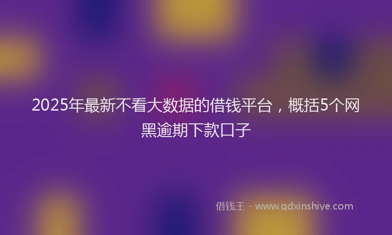 2025年最新不看大数据的借钱平台，概括5个网黑逾期下款口子