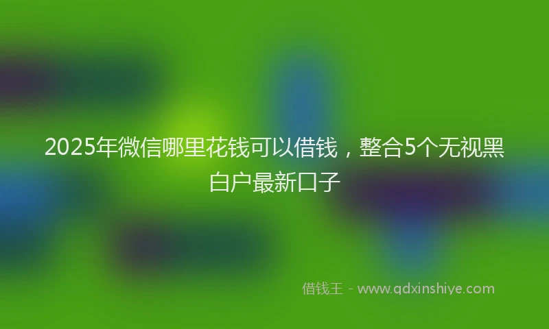 2025年微信哪里花钱可以借钱，整合5个无视黑白户最新口子