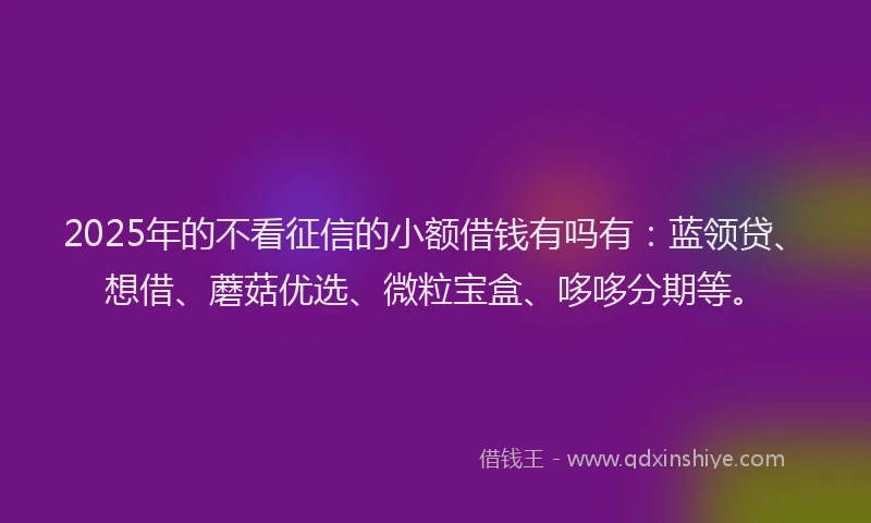 2025年的不看征信的小额借钱有吗有：蓝领贷、想借、蘑菇优选、微粒宝盒、哆哆分期等。