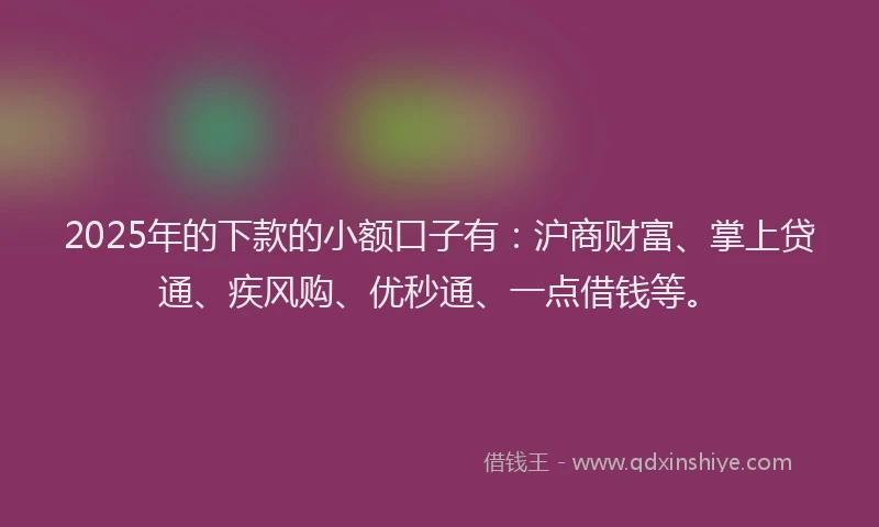 2025年的下款的小额口子有：沪商财富、掌上贷通、疾风购、优秒通、一点借钱等。