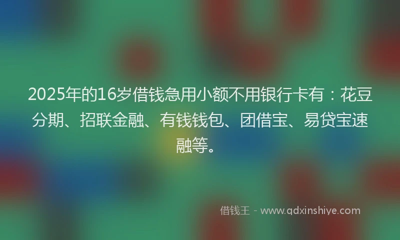 2025年的16岁借钱急用小额不用银行卡有：花豆分期、招联金融、有钱钱包、团借宝、易贷宝速融等。