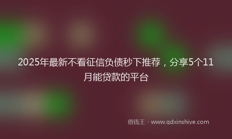 2025年最新不看征信负债秒下推荐，分享5个11月能贷款的平台