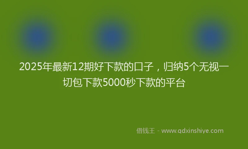 2025年最新12期好下款的口子，归纳5个无视一切包下款5000秒下款的平台