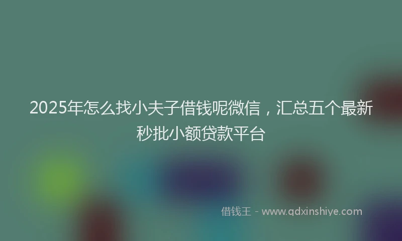 2025年怎么找小夫子借钱呢微信，汇总五个最新秒批小额贷款平台