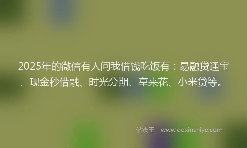 2025年的微信有人问我借钱吃饭有：易融贷通宝、现金秒借融、时光分期、享来花、小米贷等。