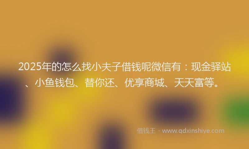 2025年的怎么找小夫子借钱呢微信有：现金驿站、小鱼钱包、替你还、优享商城、天天富等。